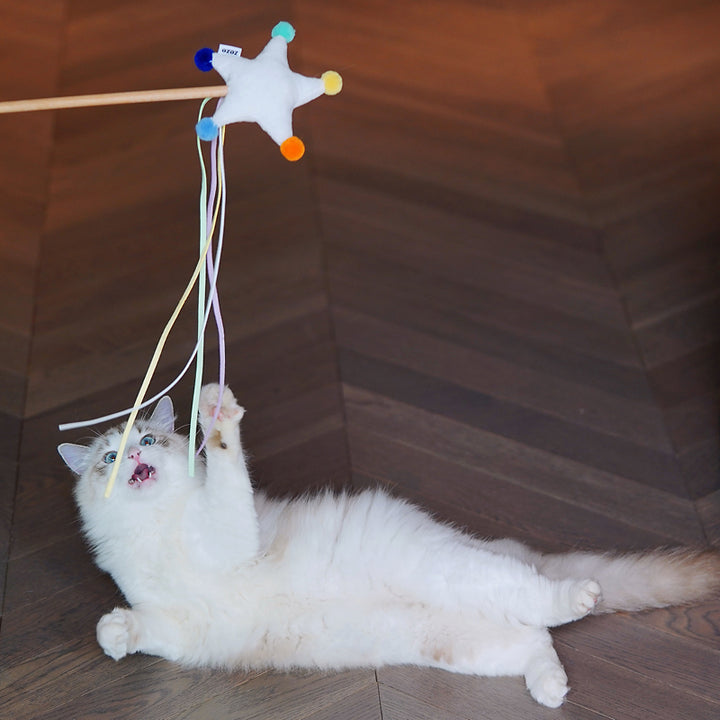 Star Teaser Wand Cat Toy