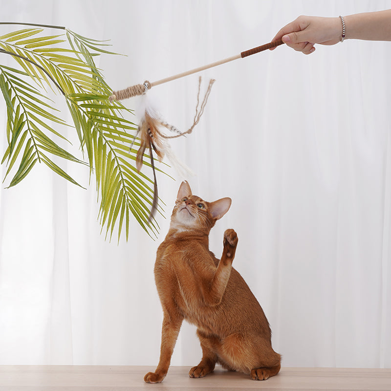 Fairy Wand Cat Toy