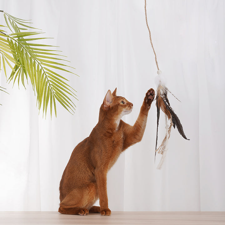 Fairy Wand Cat Toy