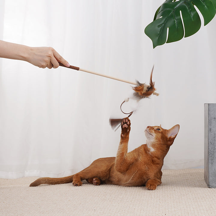 Fairy Wand Cat Toy
