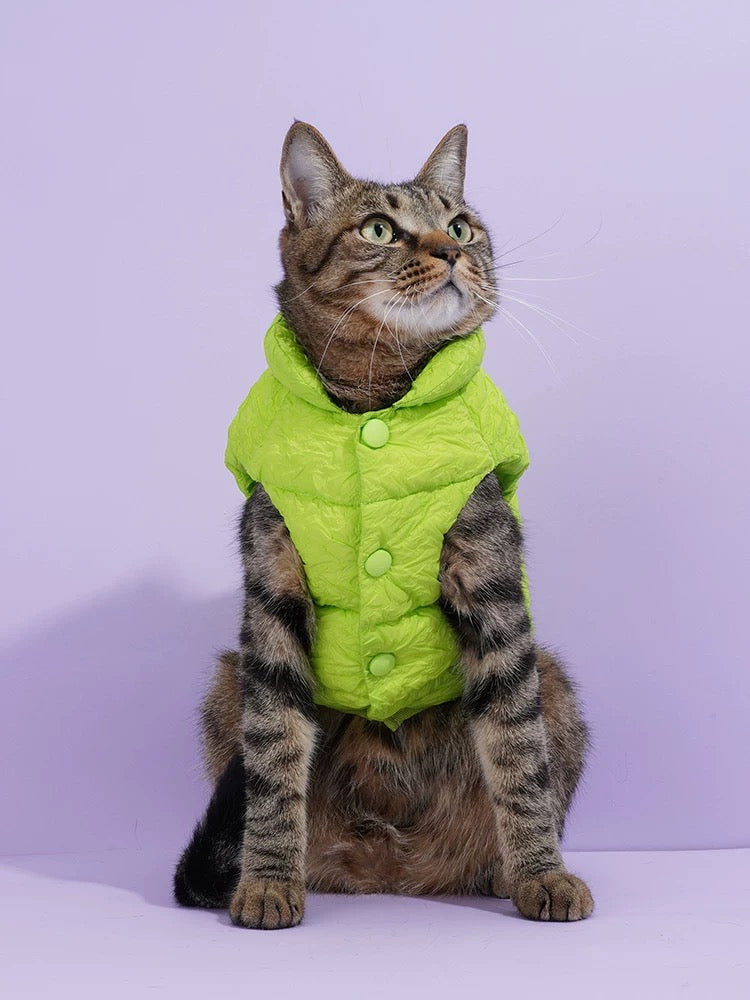 Cat & Dog  Fluoresce Green Puffer Jacket
