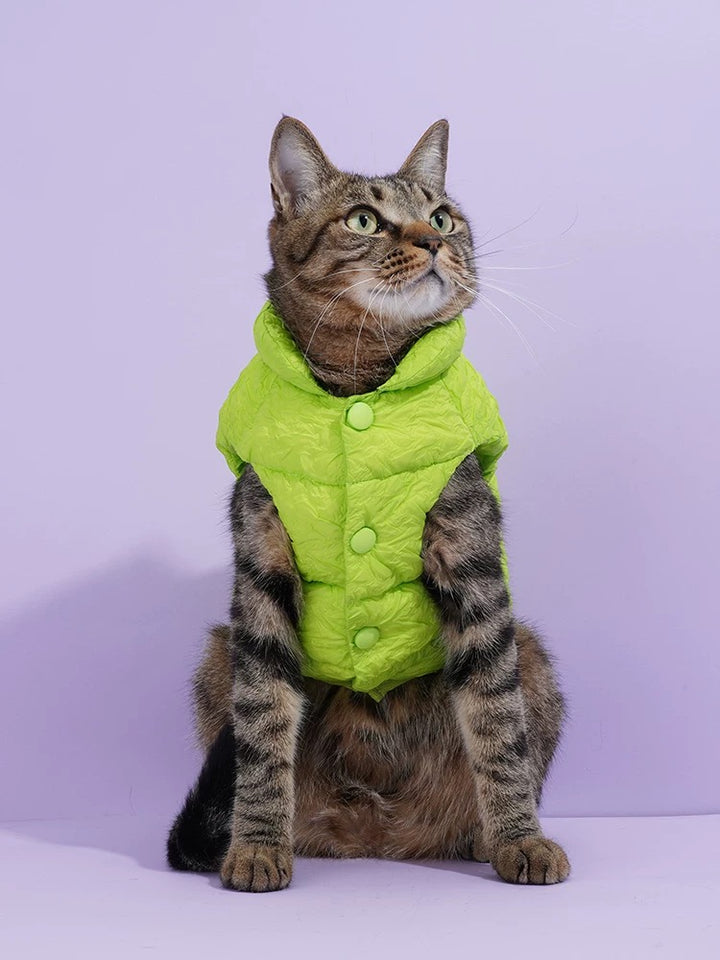 Cat & Dog  Fluoresce Green Puffer Jacket