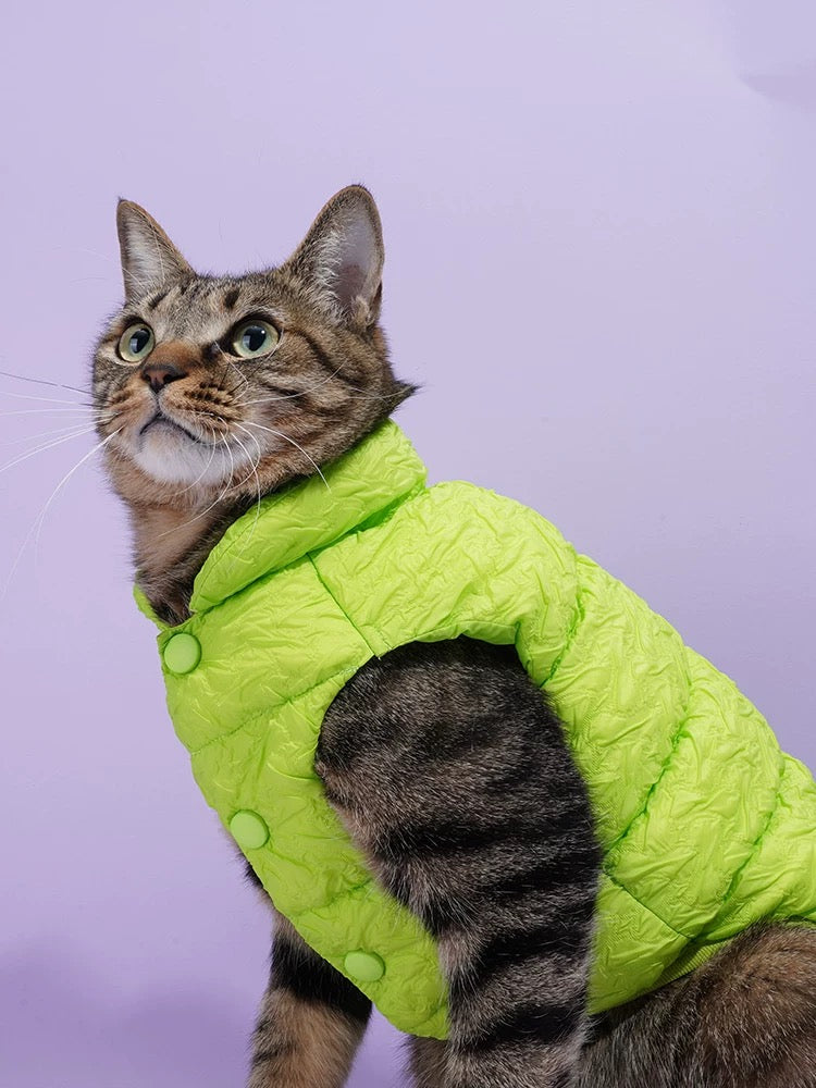 Cat & Dog  Fluoresce Green Puffer Jacket