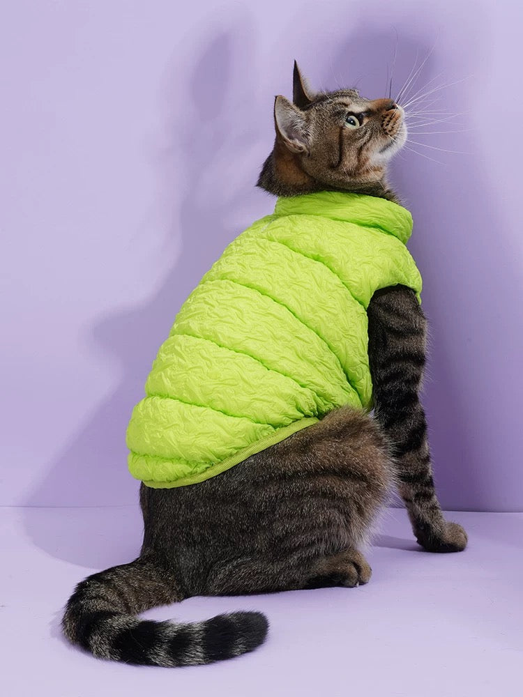 Cat & Dog  Fluoresce Green Puffer Jacket