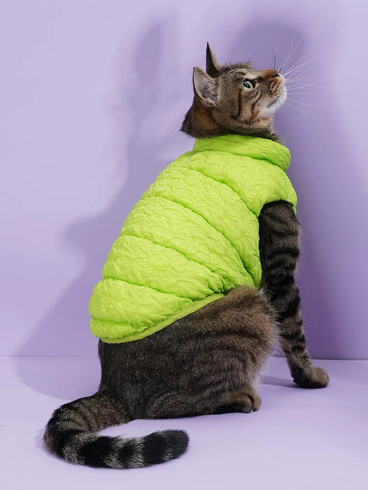 Cat & Dog  Fluoresce Green Puffer Jacket