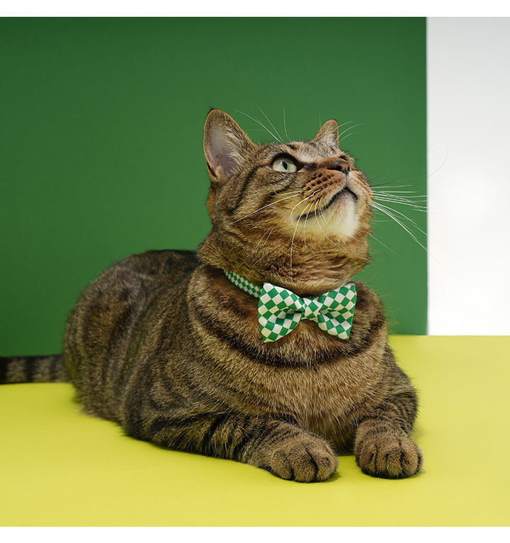 Plaid Bow Tie Cat & Dog Collar