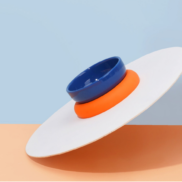 Raised Modern Porcelain Cat & Dog Bowl