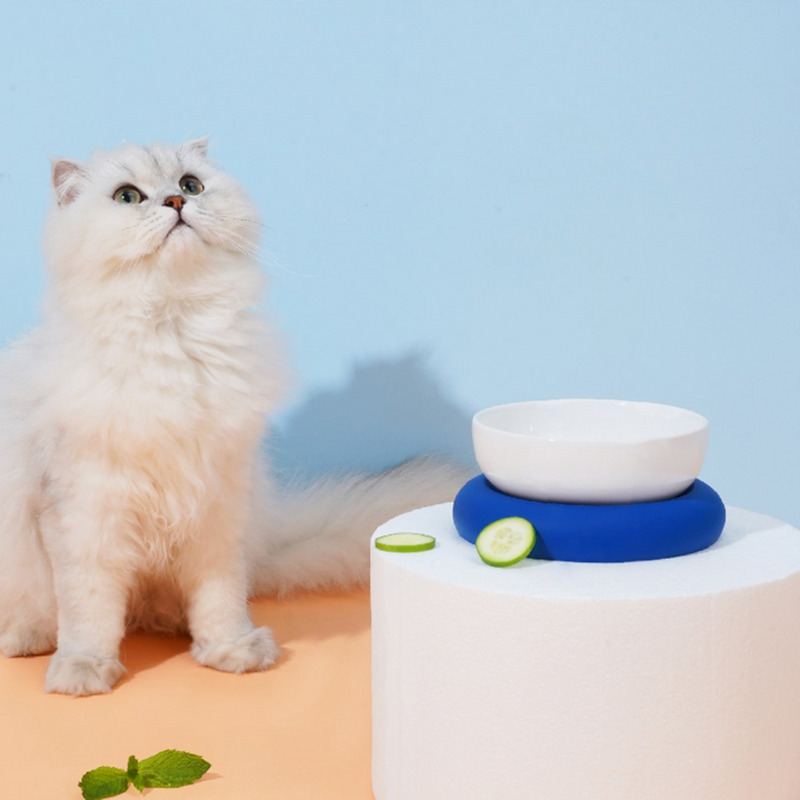 Raised Modern Porcelain Cat & Dog Bowl