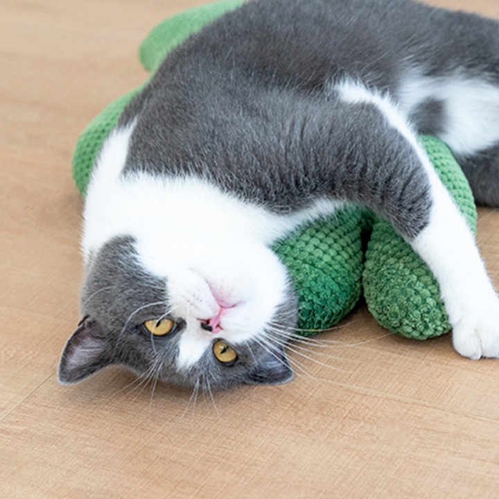 Cactus Catnip Cat Dental Health Toy