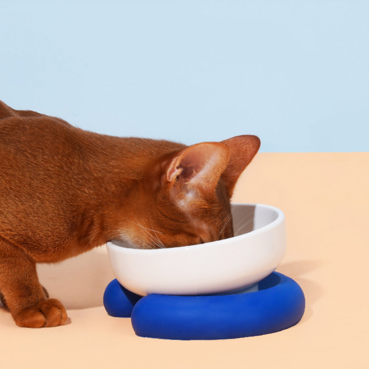 Raised Modern Porcelain Cat & Dog Bowl