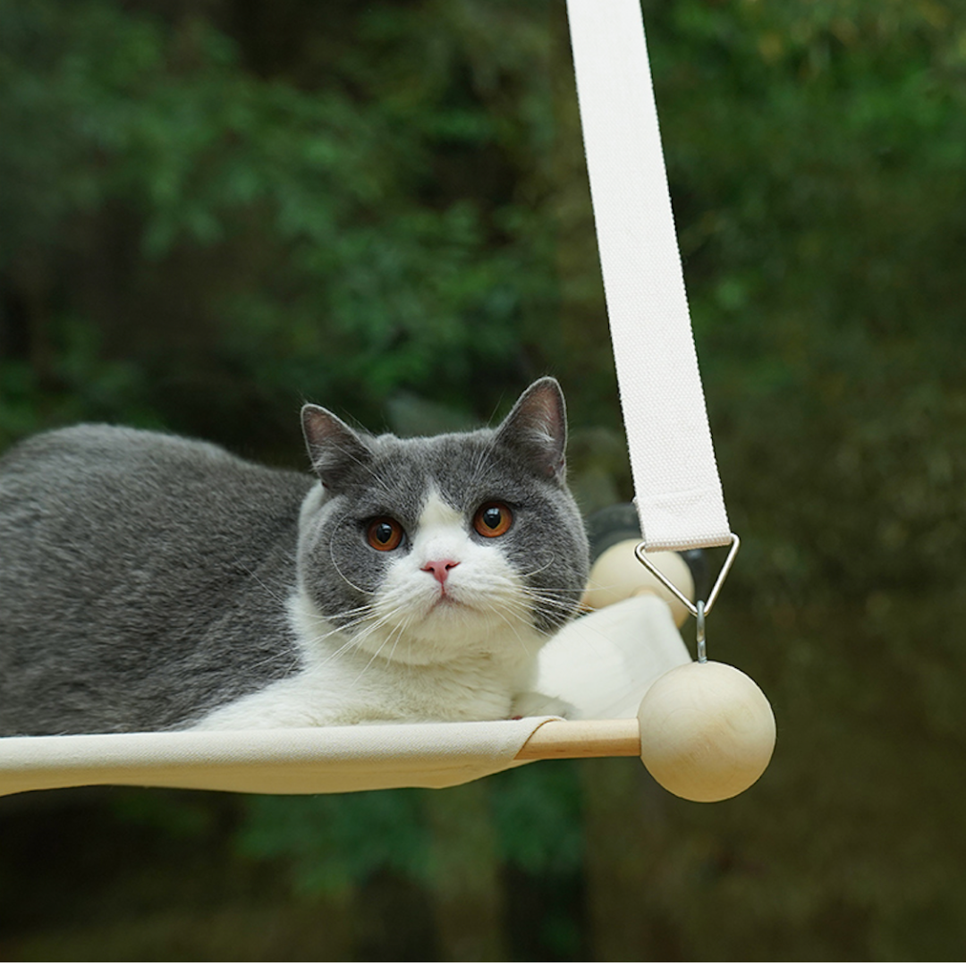 Solid Wood Frame Cat Window Perch