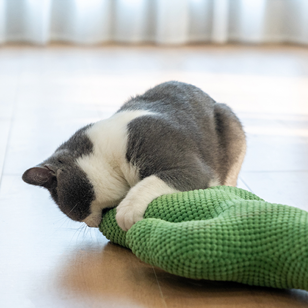 Cactus Catnip Cat Dental Health Toy