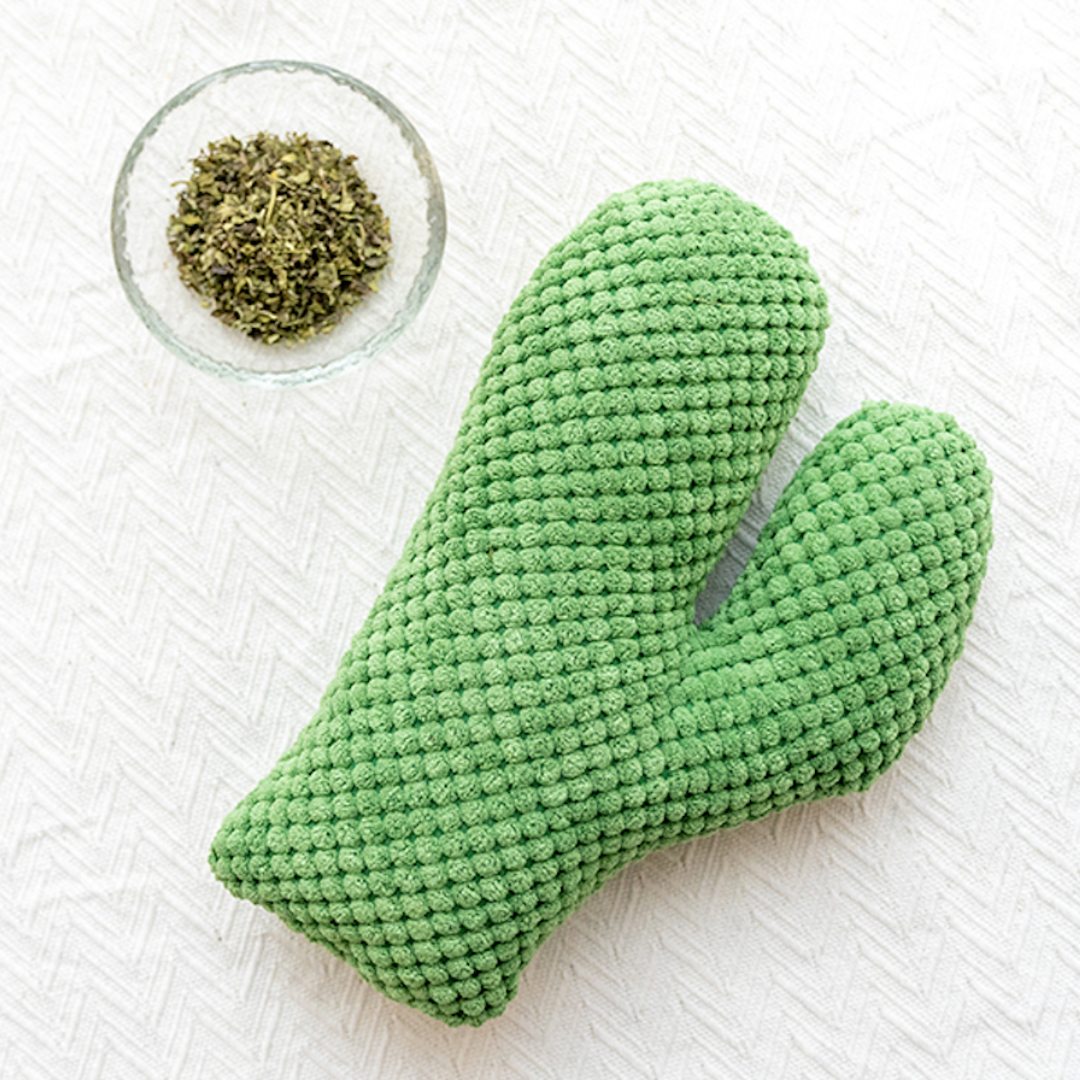 Cactus Catnip Cat Dental Health Toy