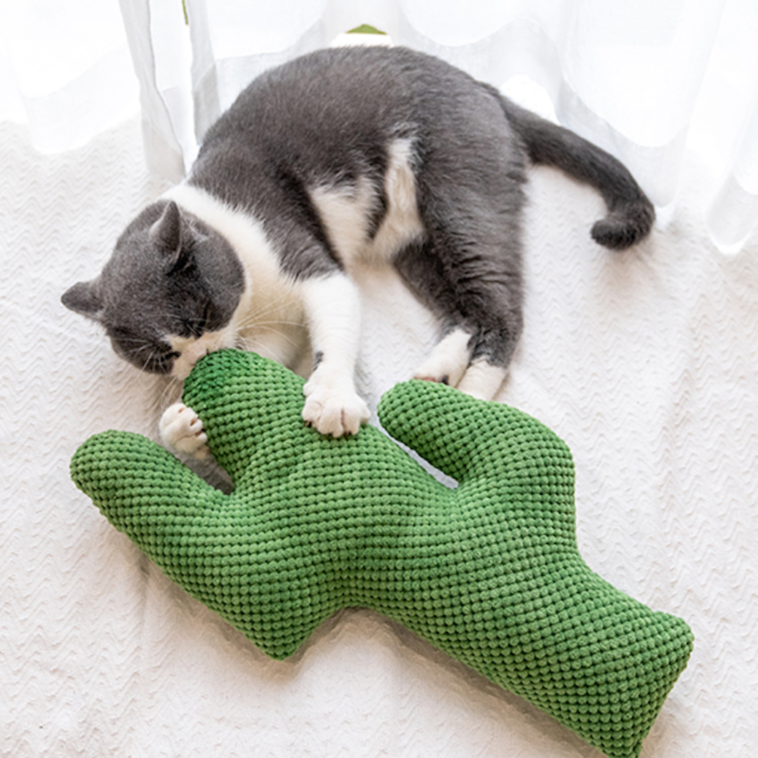 Cactus Catnip Cat Dental Health Toy