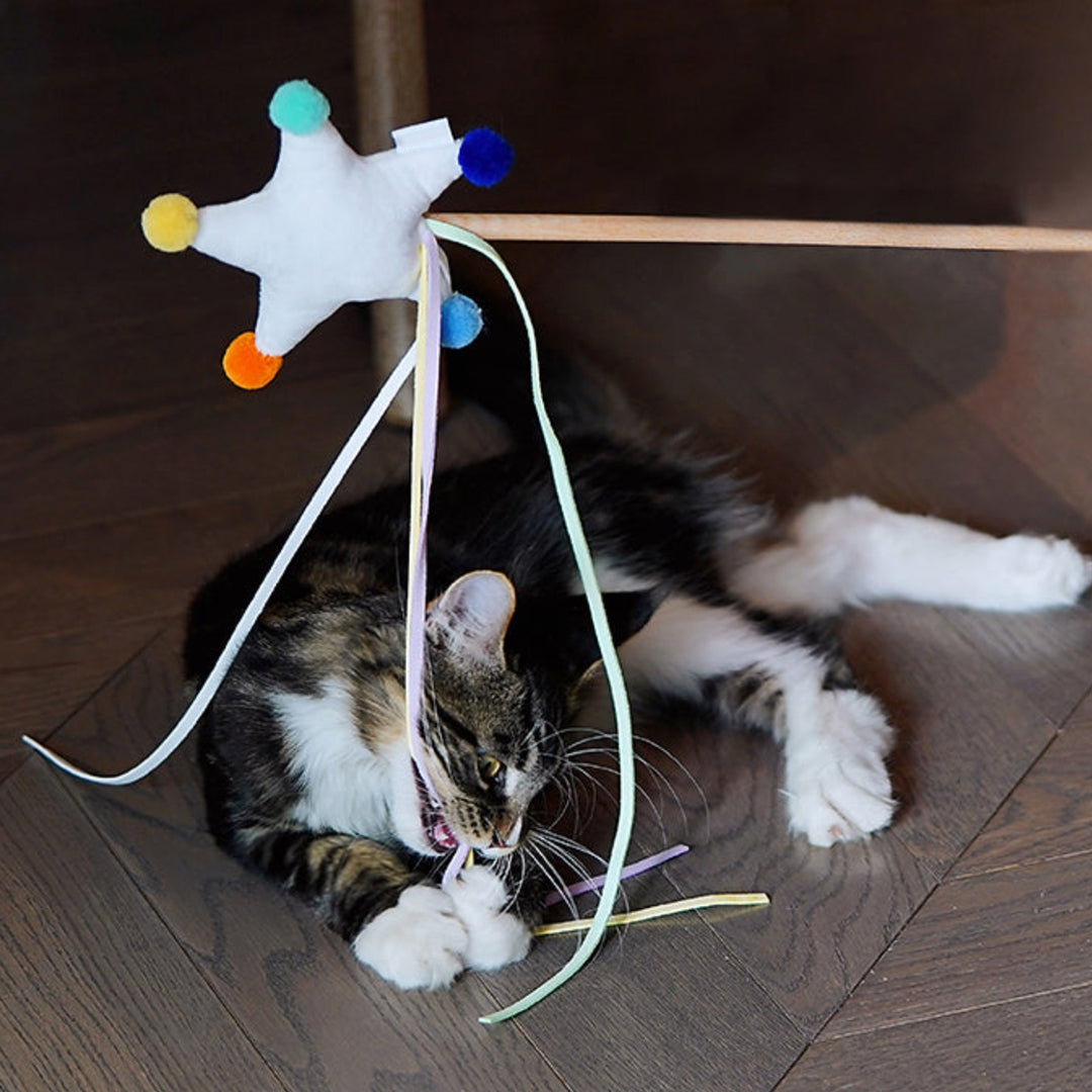 Star Teaser Wand Cat Toy