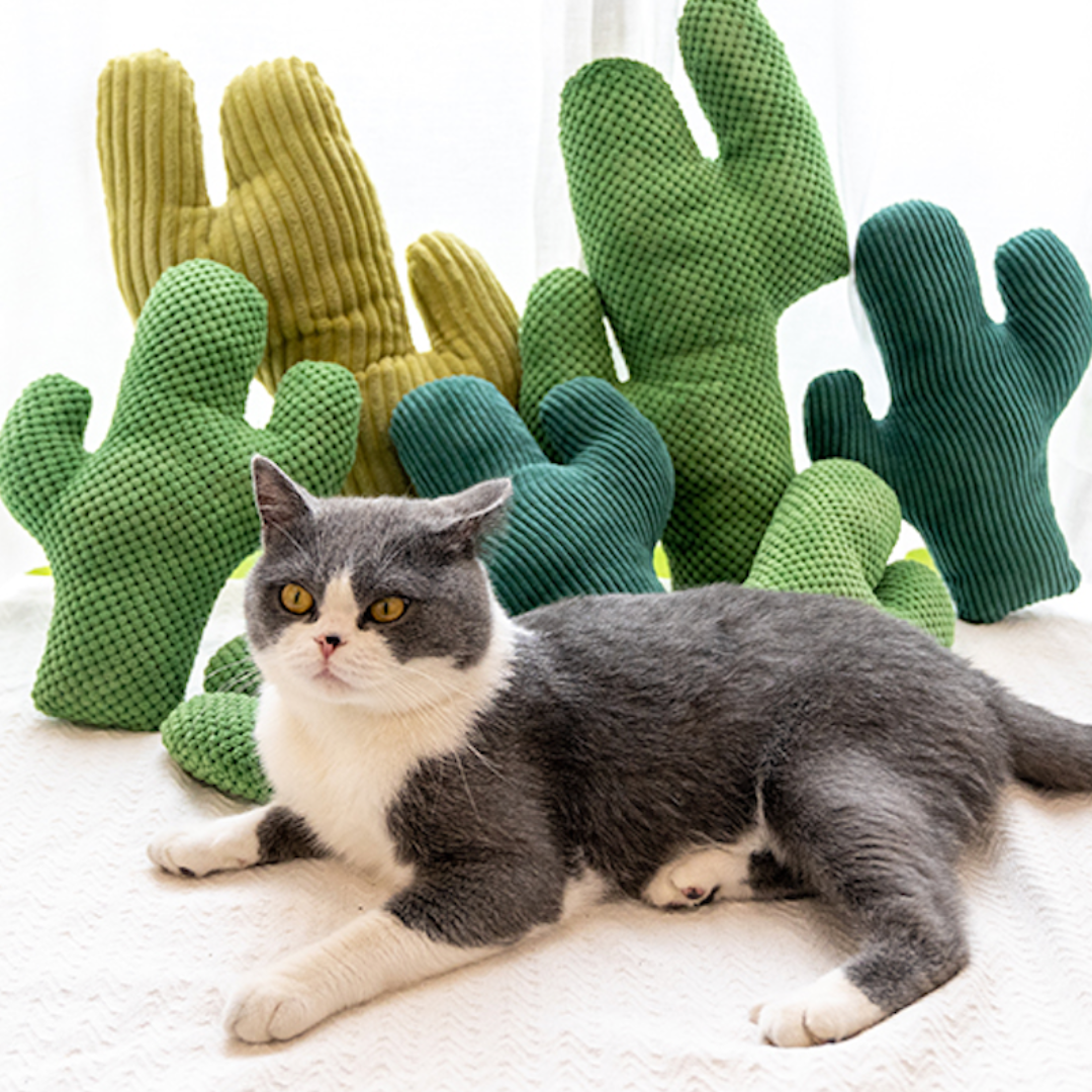 Cactus Catnip Cat Dental Health Toy