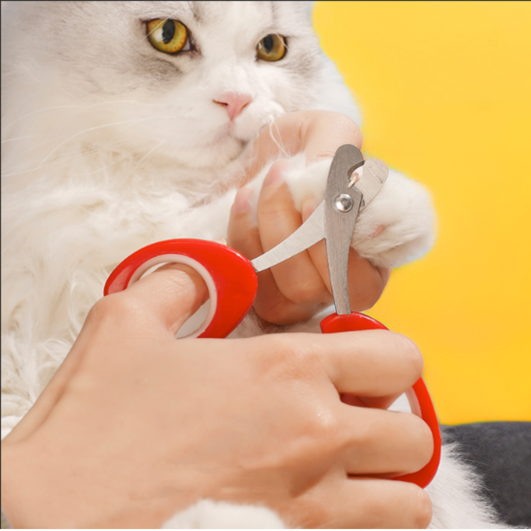 Cute Tulip Pot Pet Nail Clipper