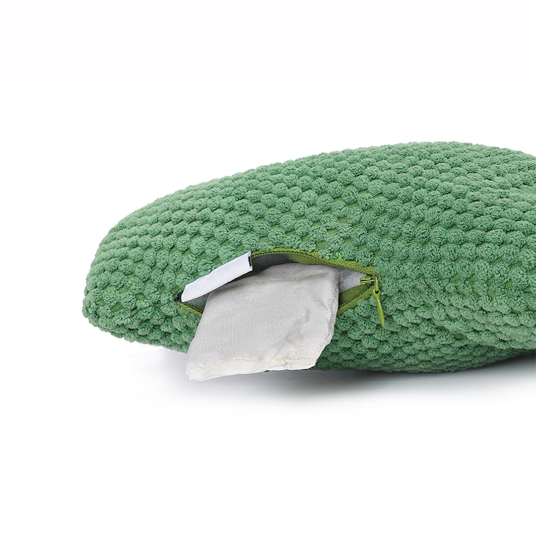 Cactus Catnip Cat Dental Health Toy