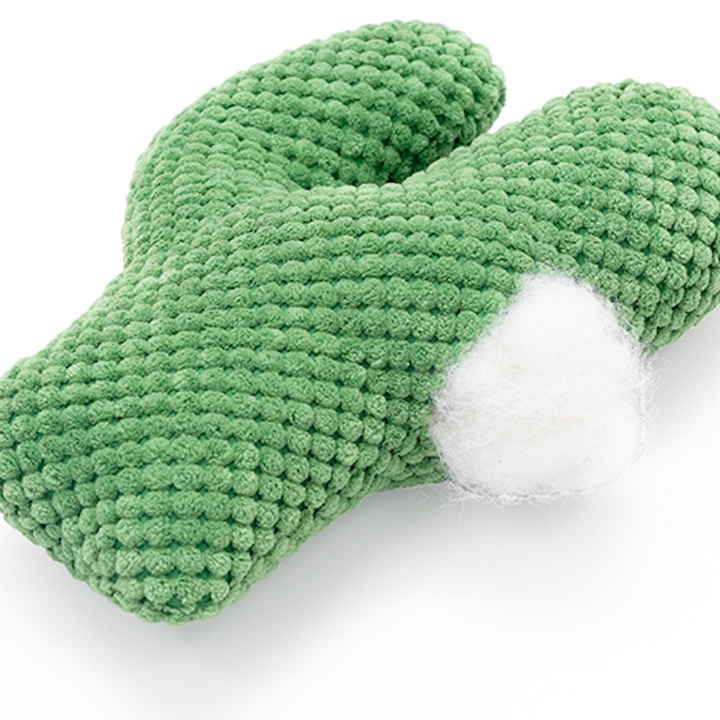 Cactus Catnip Cat Dental Health Toy