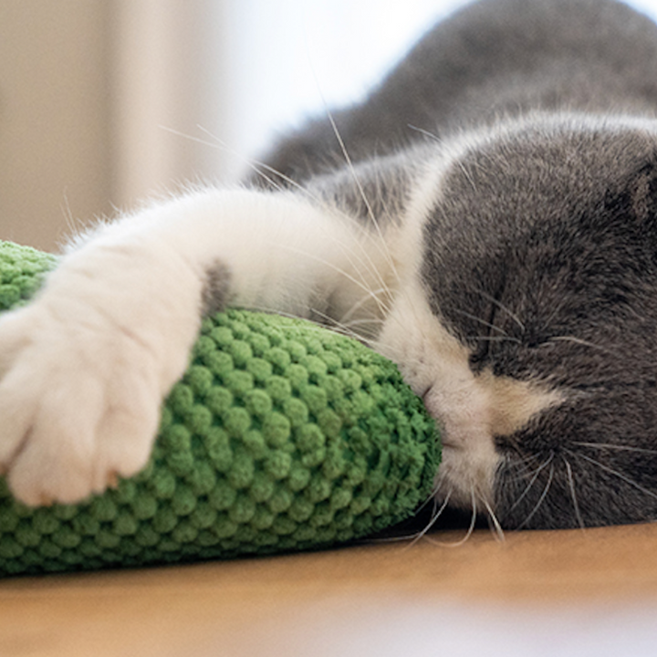 Cactus Catnip Cat Dental Health Toy