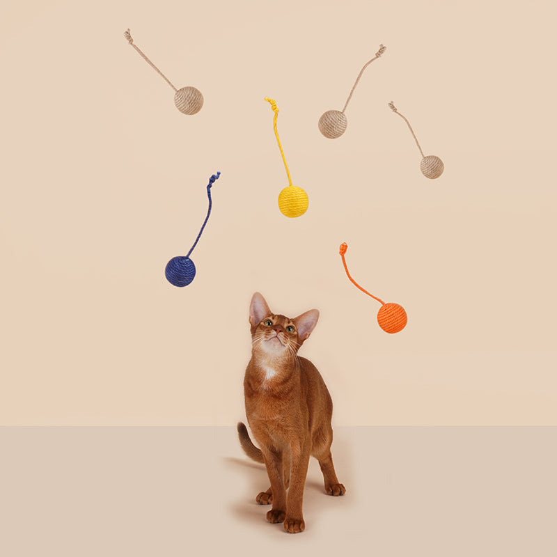 Separate Sisal Rope Balls Cat Toy Set