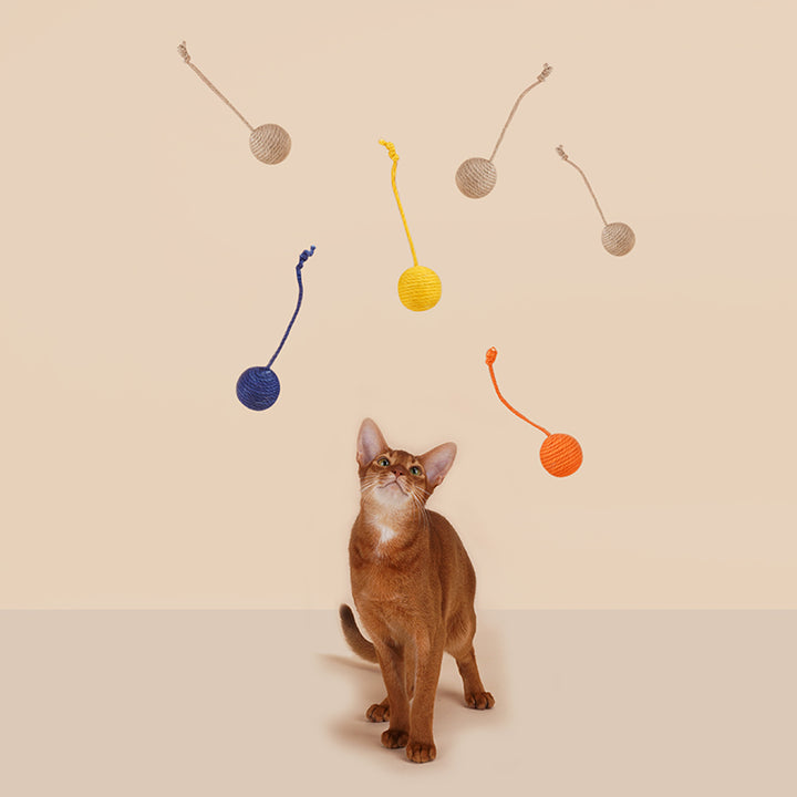 Separate Sisal Rope Balls Cat Toy Set