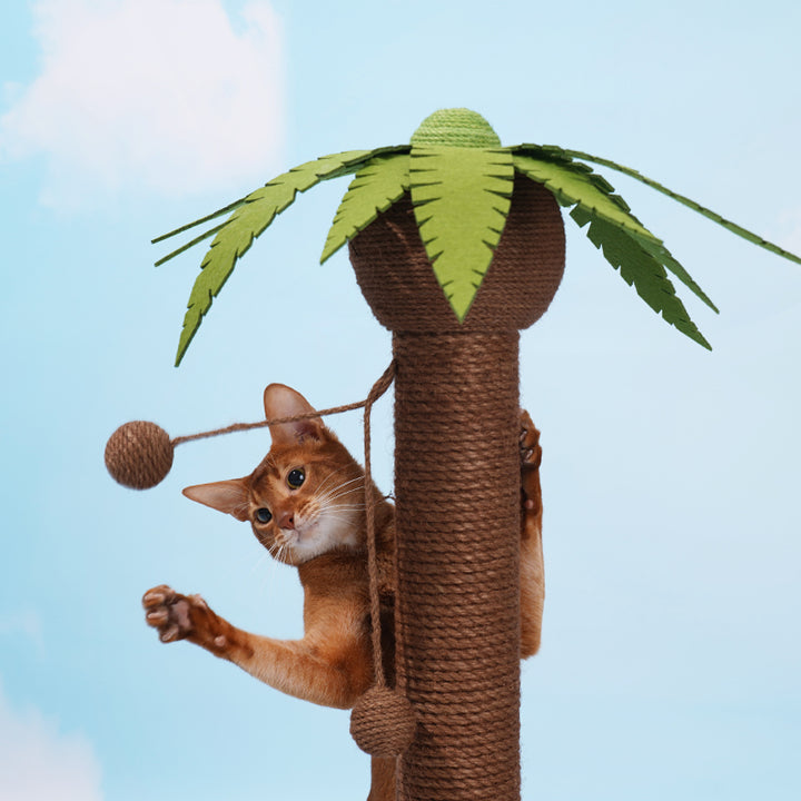 Coconut Tree Cat Scratching Post with Dangling Balls