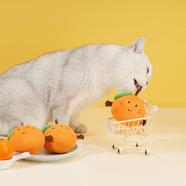 Happy Orange Silvervine Cat Toy