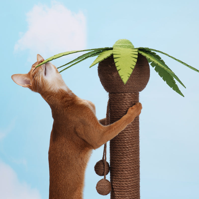 Coconut Tree Cat Scratching Post with Dangling Balls