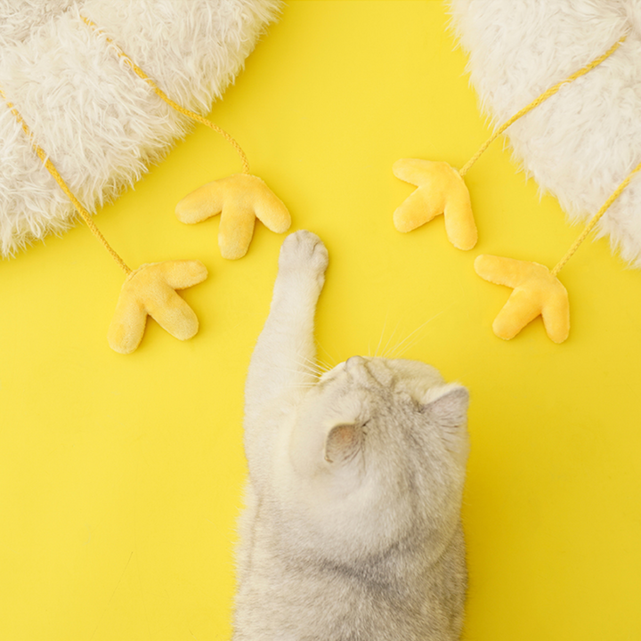 Chicken Cat & Dig Calming Bed Mat