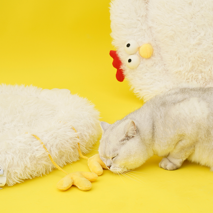 Chicken Cat & Dig Calming Bed Mat