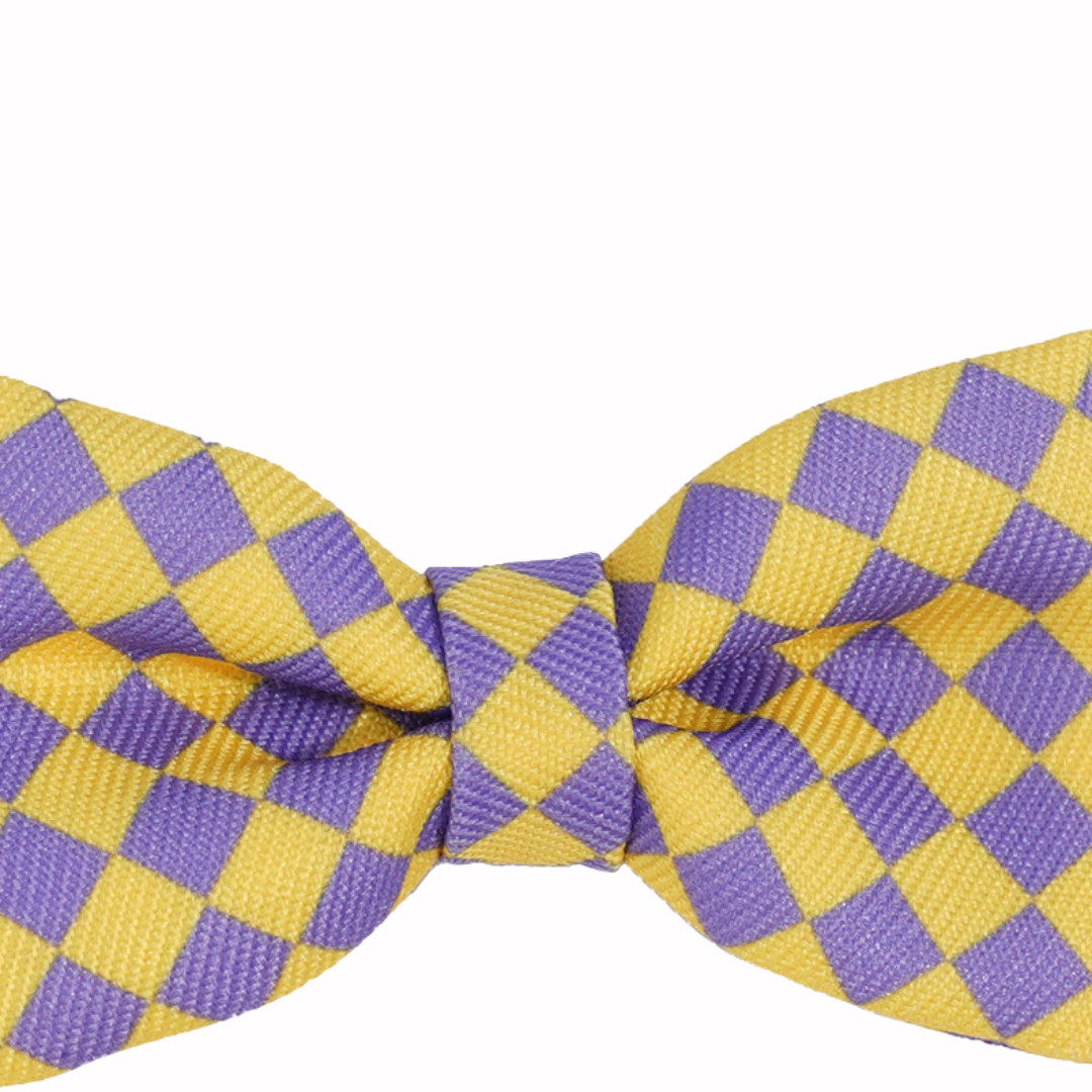 Plaid Bow Tie Cat & Dog Collar