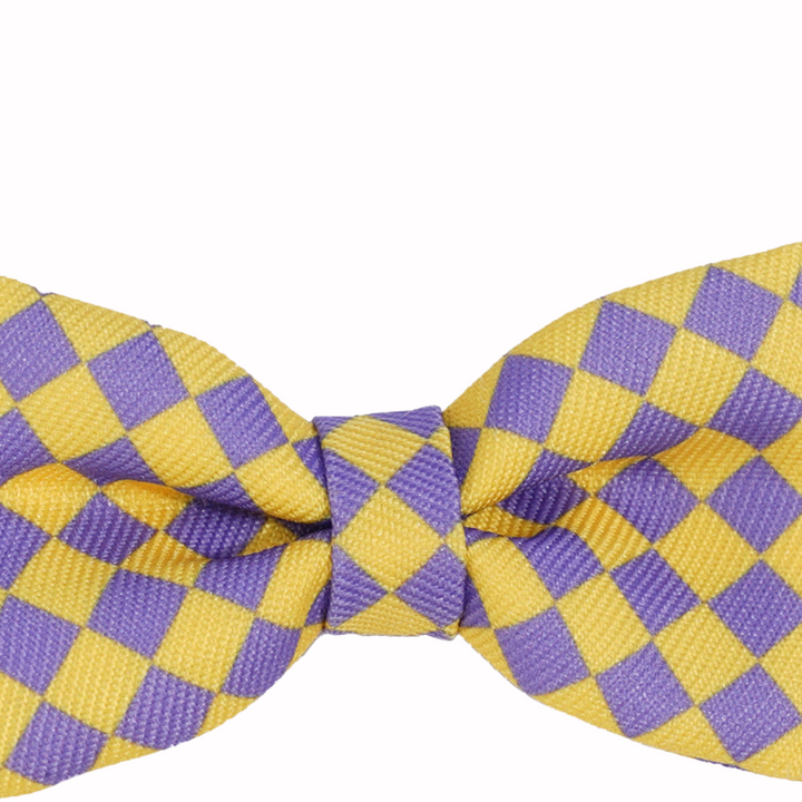 Plaid Bow Tie Cat & Dog Collar