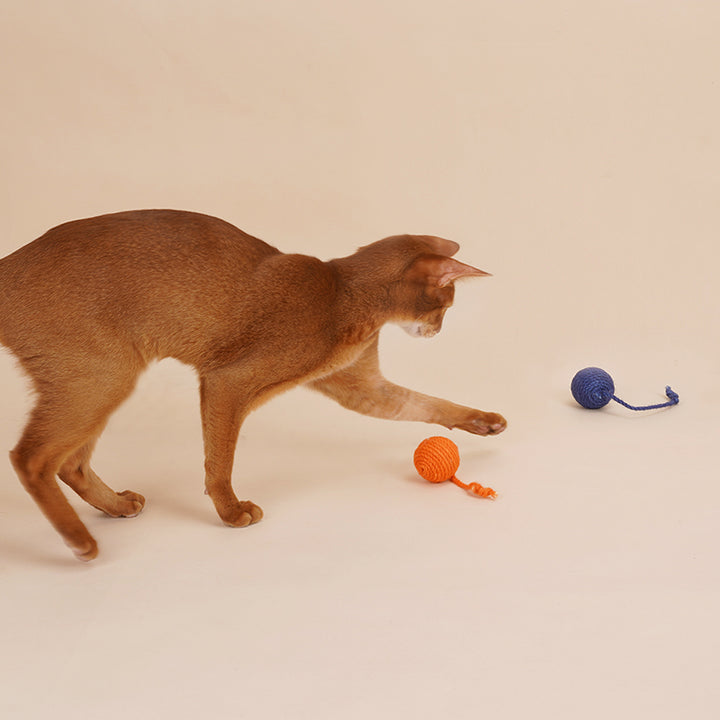 Separate Sisal Rope Balls Cat Toy Set