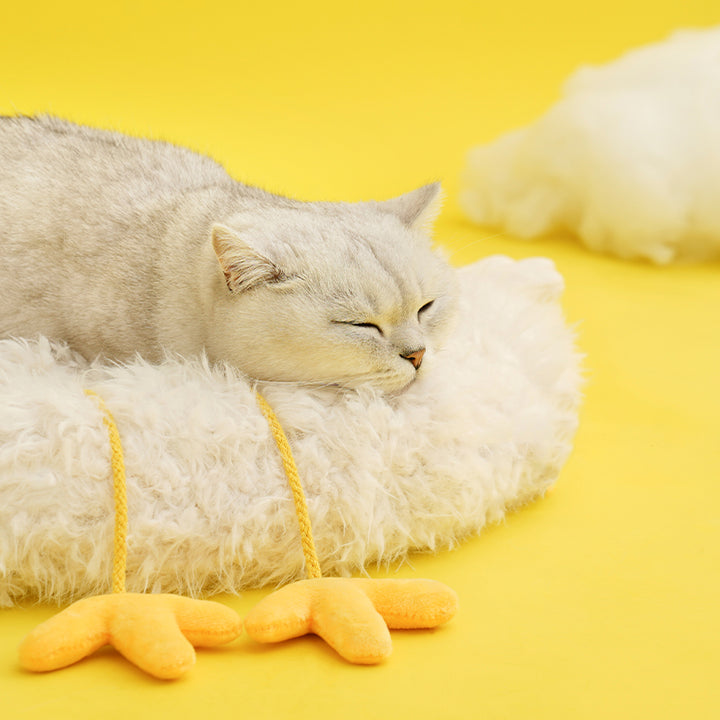 Chicken Cat & Dig Calming Bed Mat