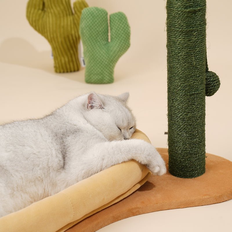 Desert Cactus Cat Scratching Post with Bed and Dangling Balls
