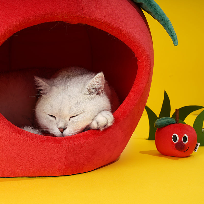 Apple Tent Covered Cat & Dog Bed