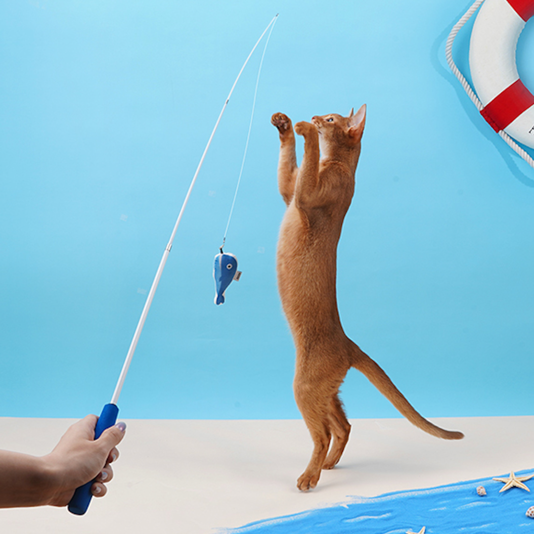 Teaser Fishing Pole Assorted Cat Toys with Catnip