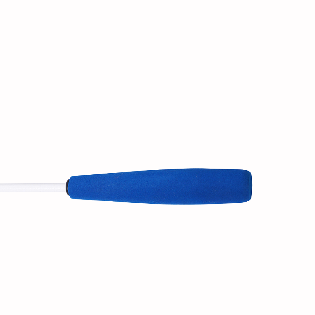 Teaser Fishing Pole Assorted Cat Toys with Catnip