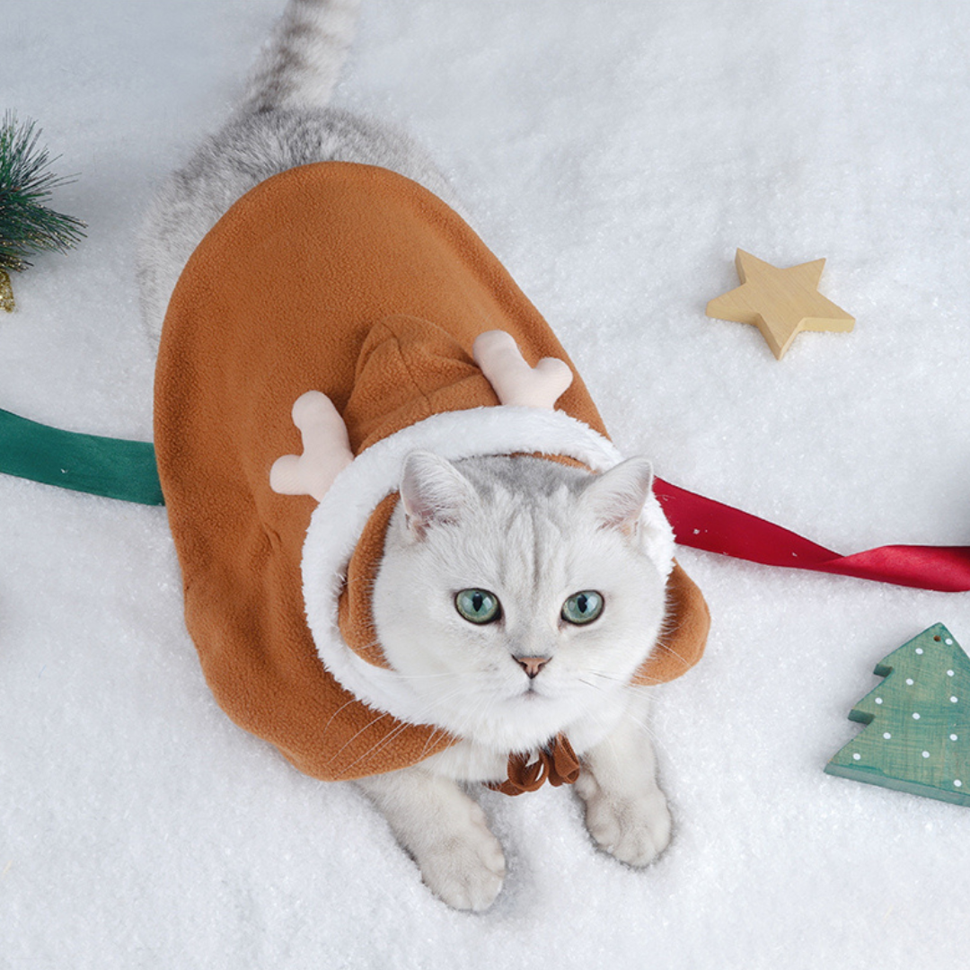 Cat & Dog Festival Cosplay Cloak Costume
