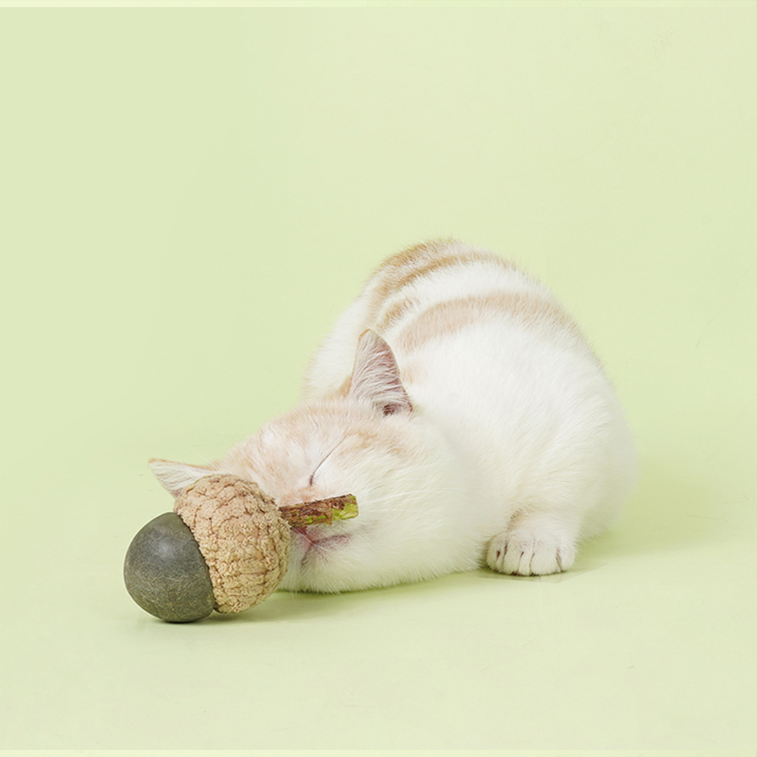 Acorn Design Silvervine Cat Toy Set