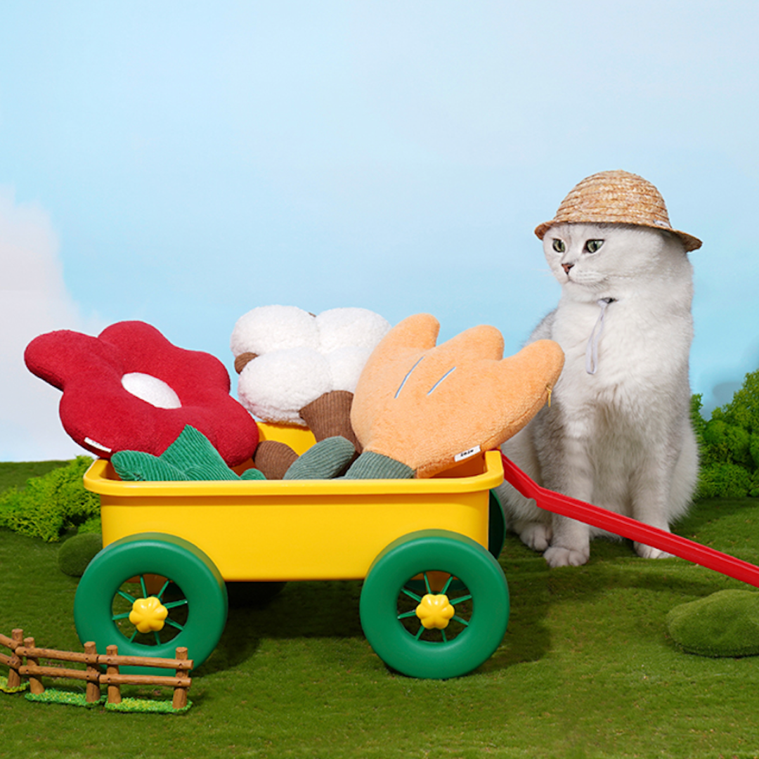 Cotton Catnip Cat Toy Dental Health Toy
