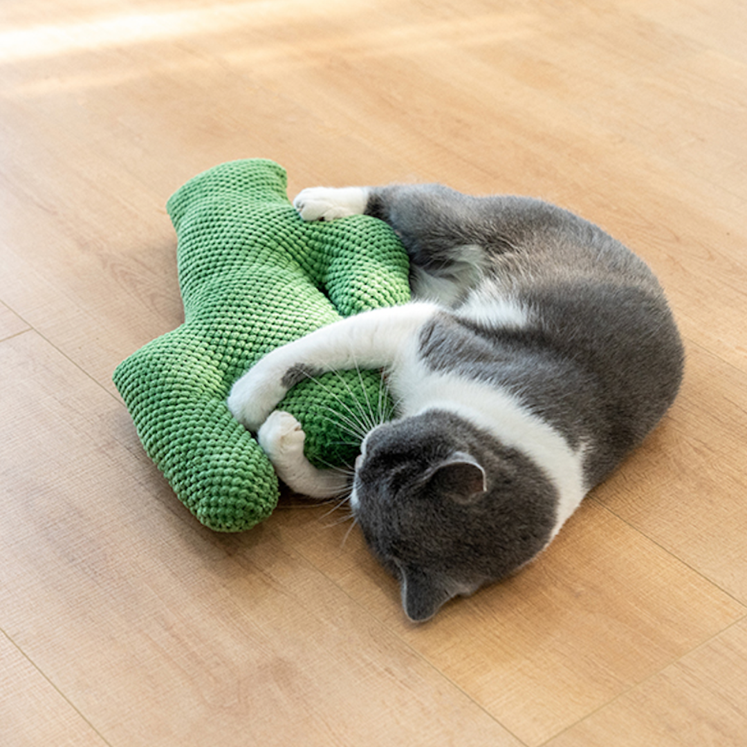 Cactus Catnip Cat Dental Health Toy