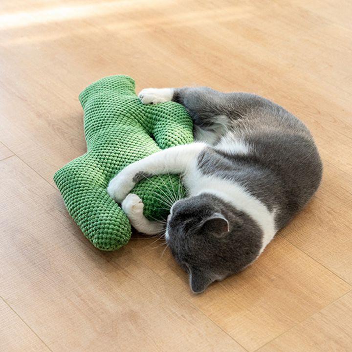 Cactus Catnip Cat Dental Health Toy