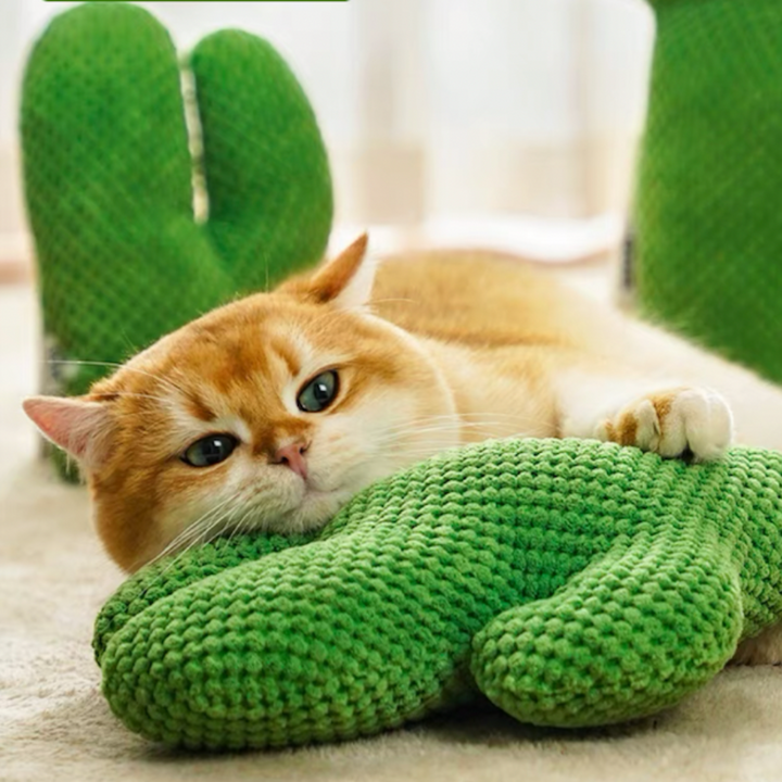 Cactus Catnip Cat Dental Health Toy