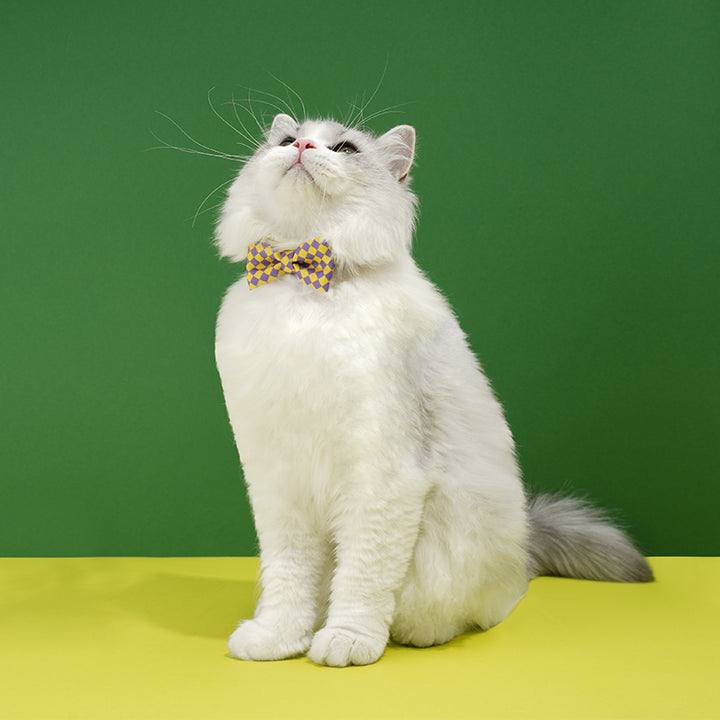 Plaid Bow Tie Cat & Dog Collar