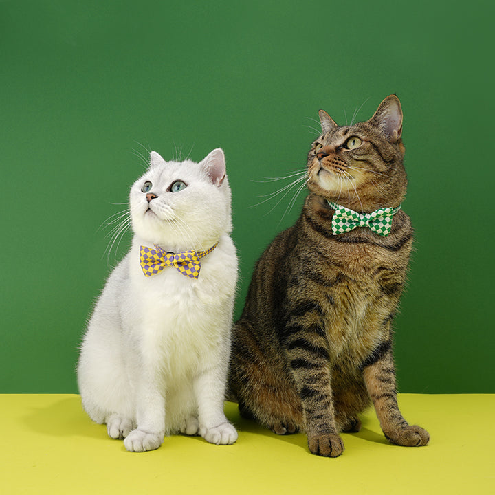 Plaid Bow Tie Cat & Dog Collar