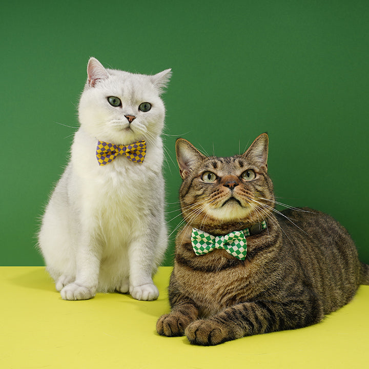 Plaid Bow Tie Cat & Dog Collar