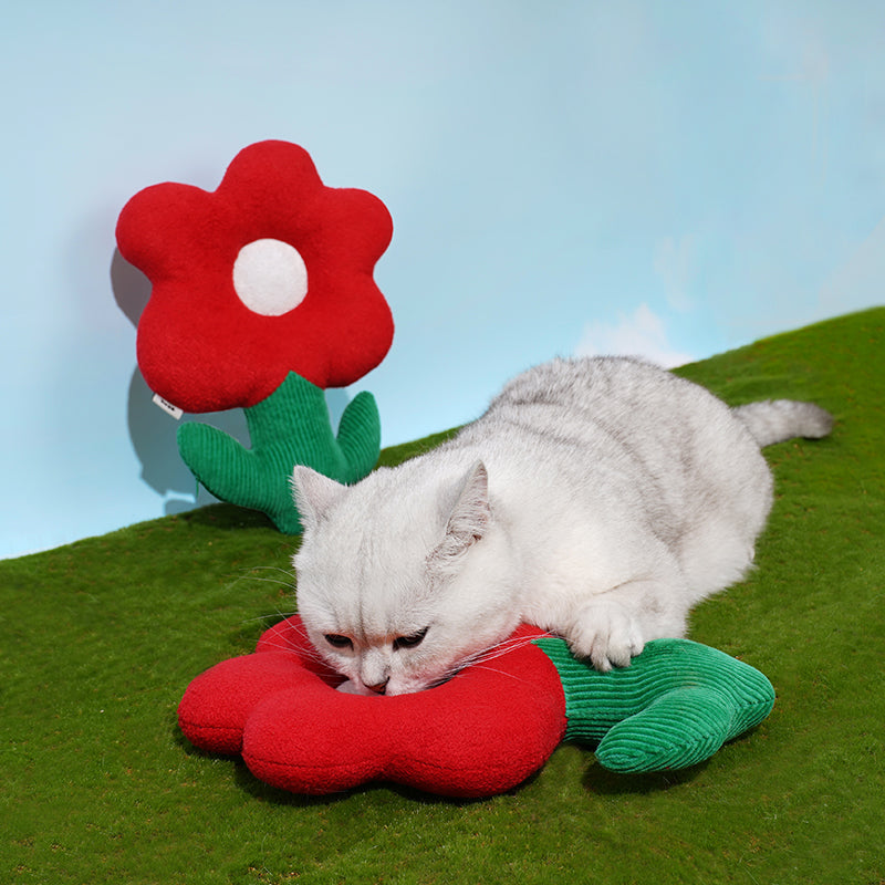 Red Flower Catnip Cat Toy Dental Health Toy